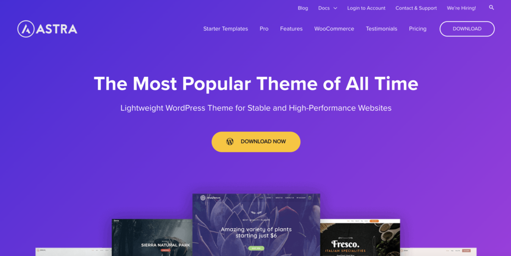 Cheap WordPress Theme That Includes Support - Astra Themes